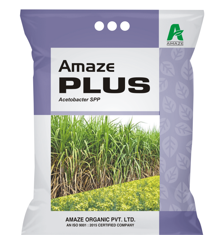 amaze_amaze_plus