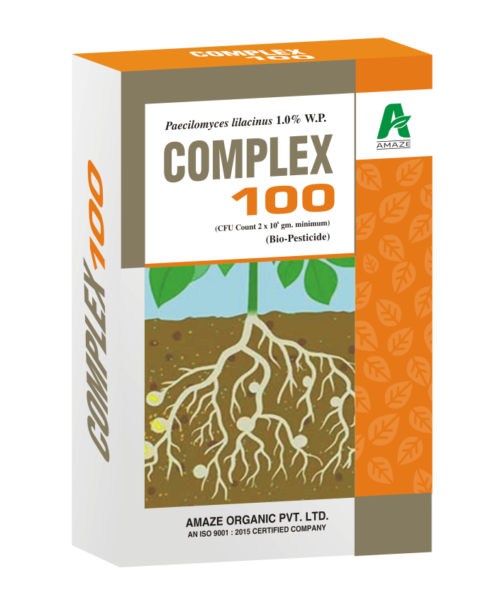 amaze_complex-100