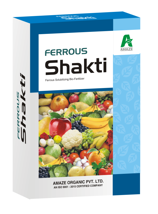 amaze_ferrous_shakti