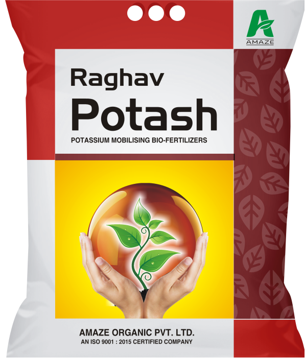 amaze_raghav_potash