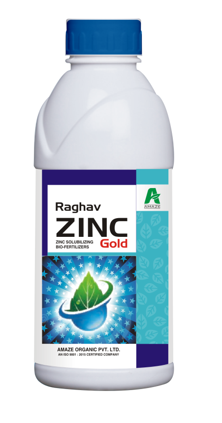 amaze_raghav_zinc_gold