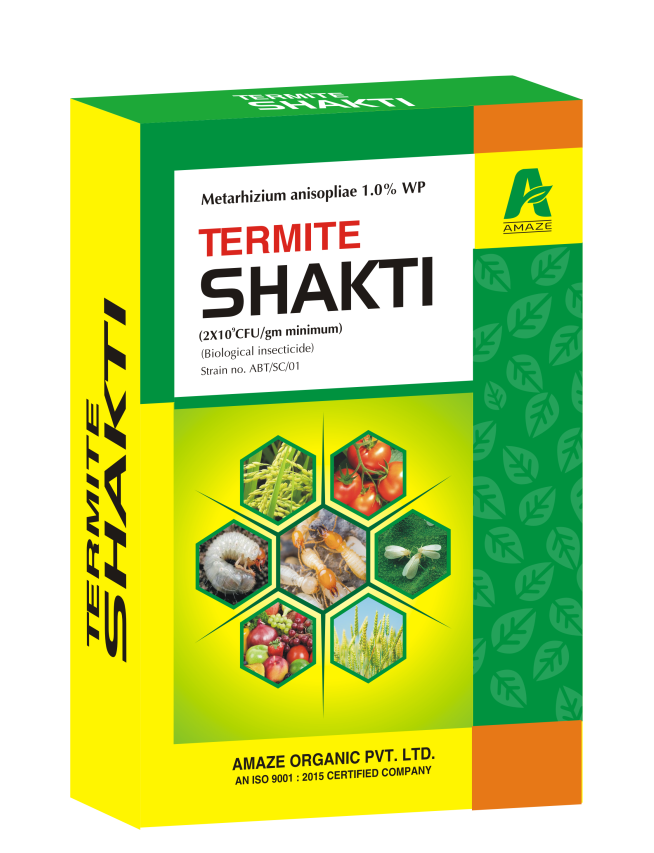 amaze_termite_shakti